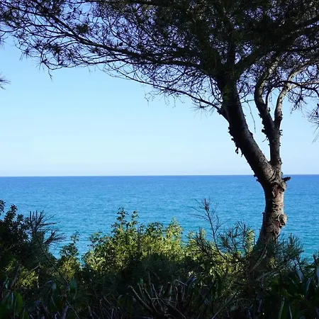 Bonita Casa Jardin Privado 5min A Pie De Playa Holiday home Roda de Bera